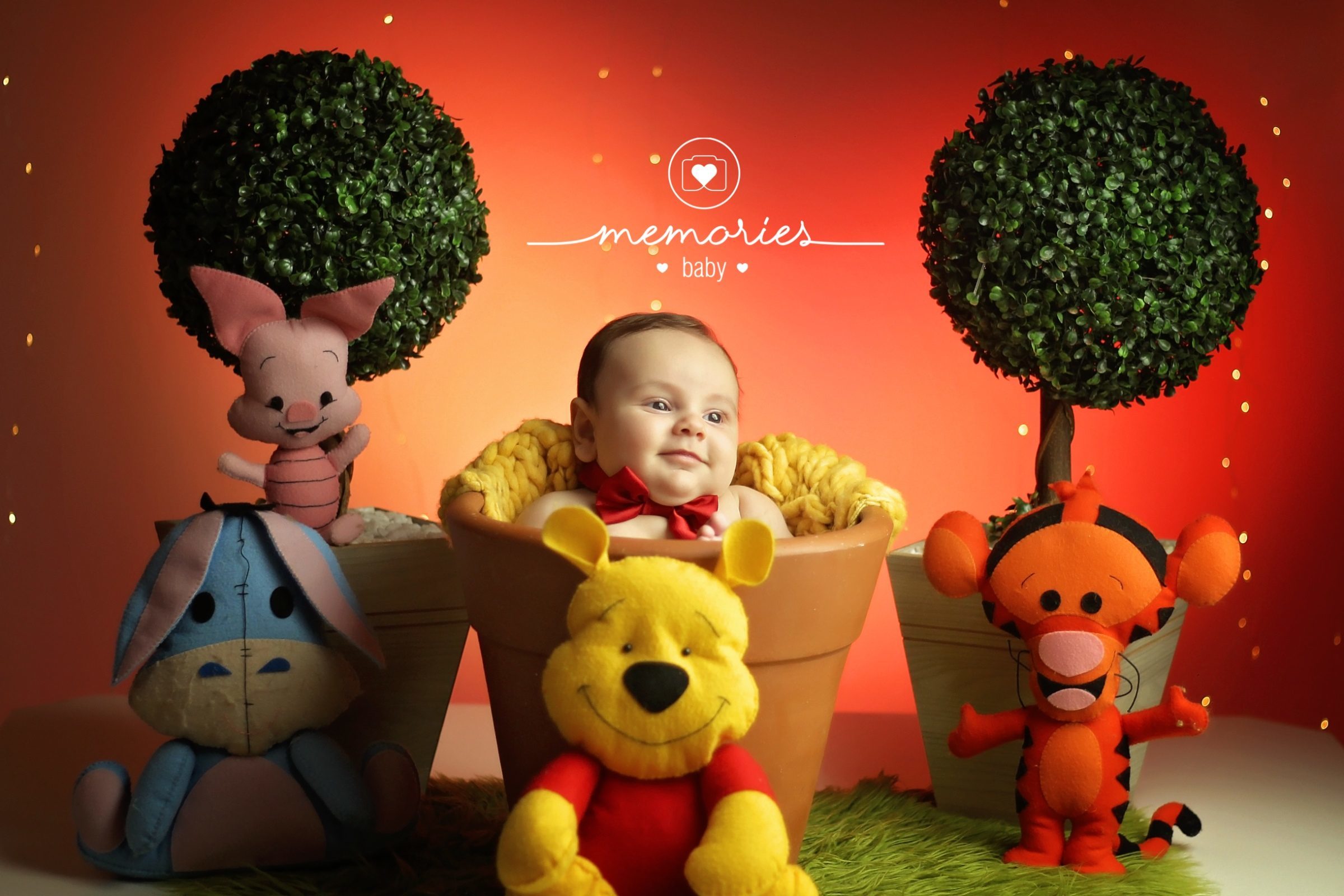 Foto de Studio Memories 0