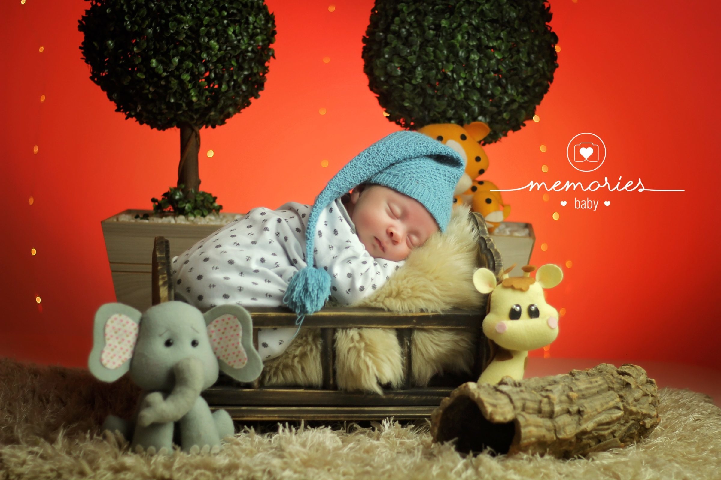 Foto de Studio Memories 3